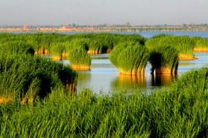 Sand Lake Ningxia China